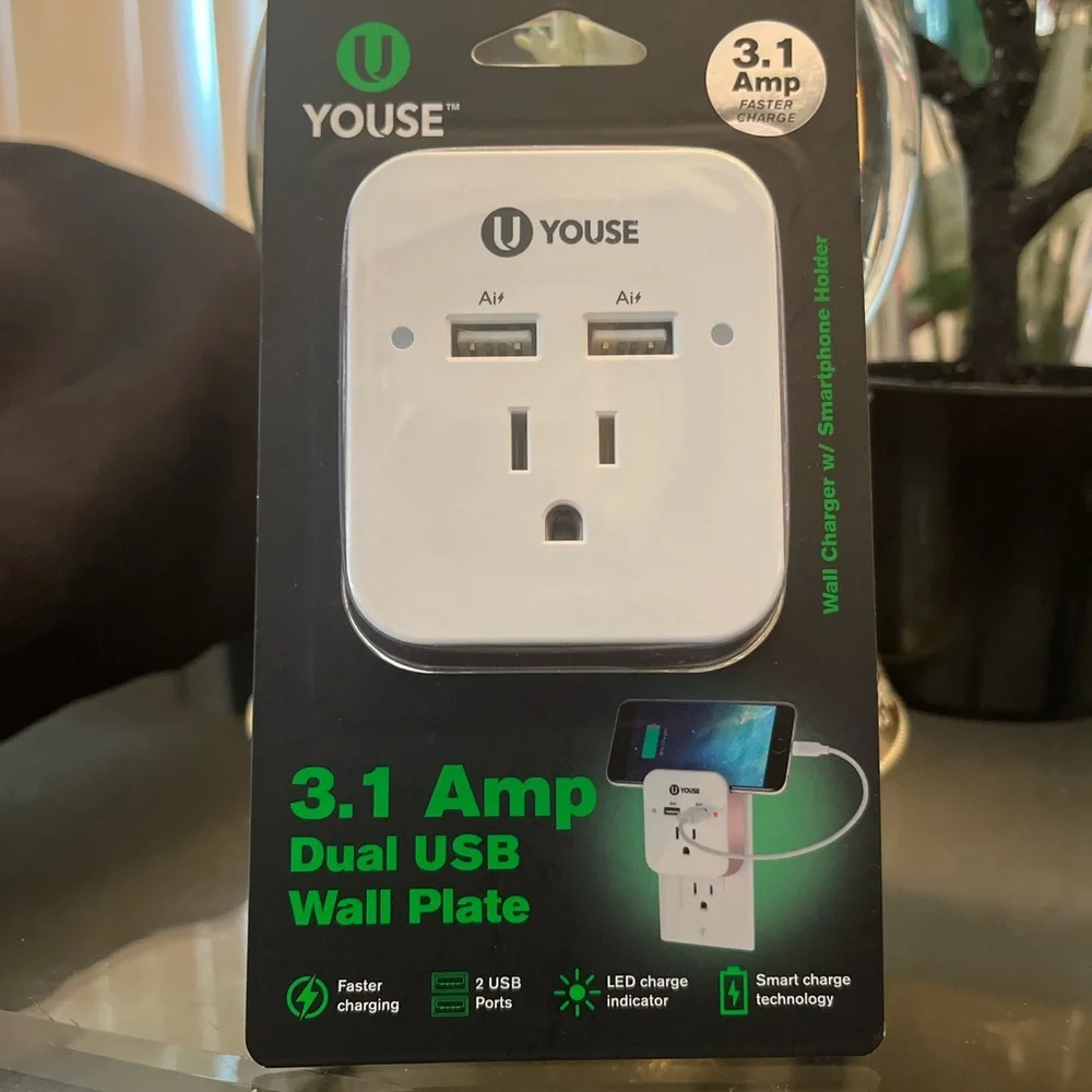 Dual USB Wall plate and phone holder